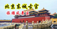 啊啊啊啊操夹鸡巴好大啊啊啊啊啊要到了在线视频中国北京-东城古宫旅游风景区
